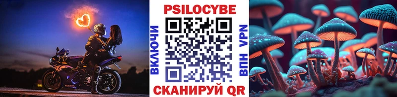 Псилоцибиновые грибы мицелий Искитим