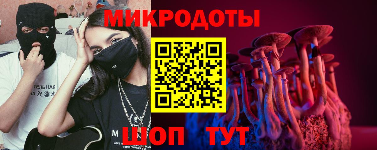 Псилоцибиновые грибы Cubensis  закладка  Искитим  Вход с VPN 