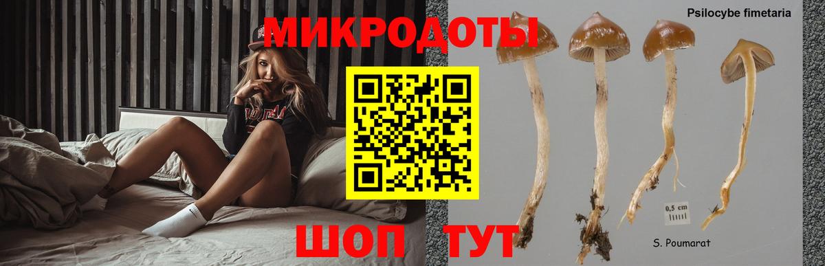 Псилоцибиновые грибы Magic Shrooms Искитим